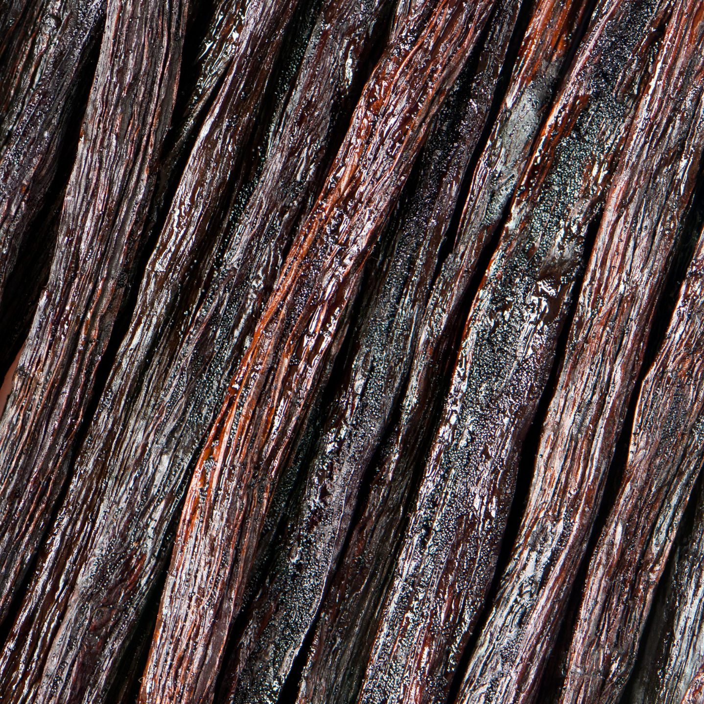 Gel Douche & Mains Patchouli & Vanille Ambrée