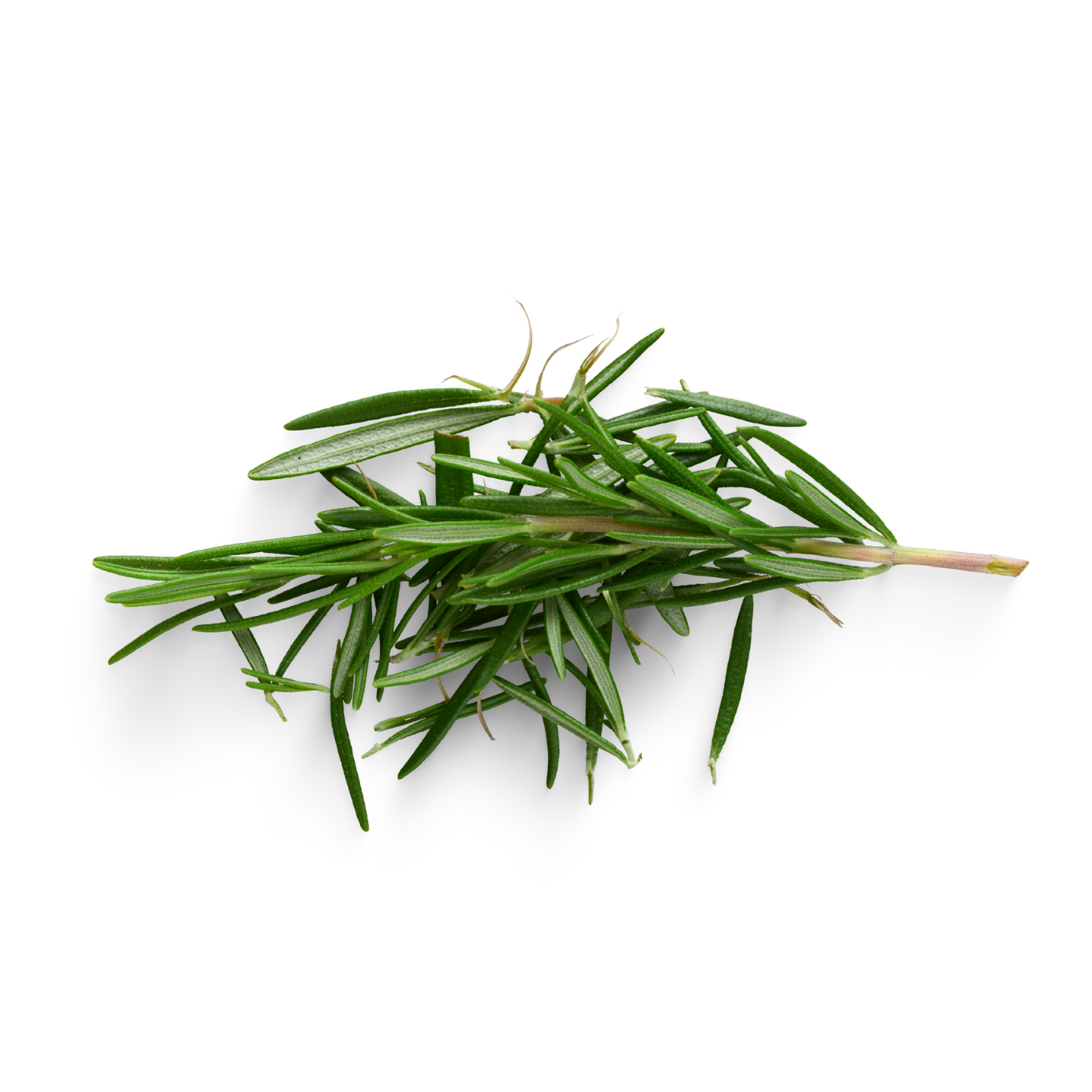 Gommage Cuir Chevelu Nettoyage Profond